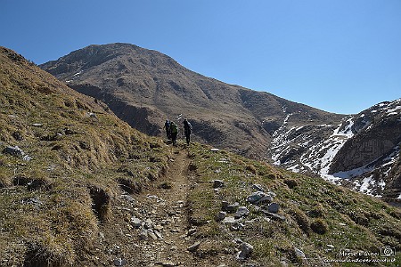 4: 213462 Zucco degli Agnelli