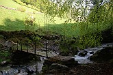 09 03608 Torrente Edra
