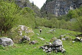 09 03686 Verso il Pesel