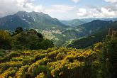09 06152 Ginestre - Conca