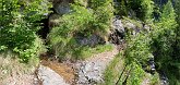 09 04819 Panoramica Pesel
