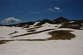 09 05045