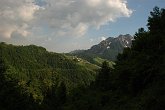 09 05226