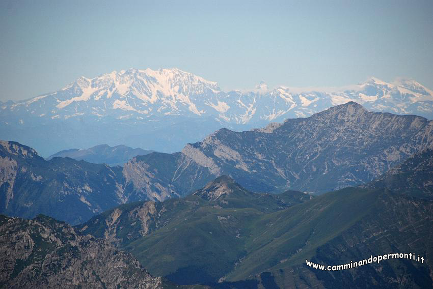 09 07941 Monte Rosa.jpg