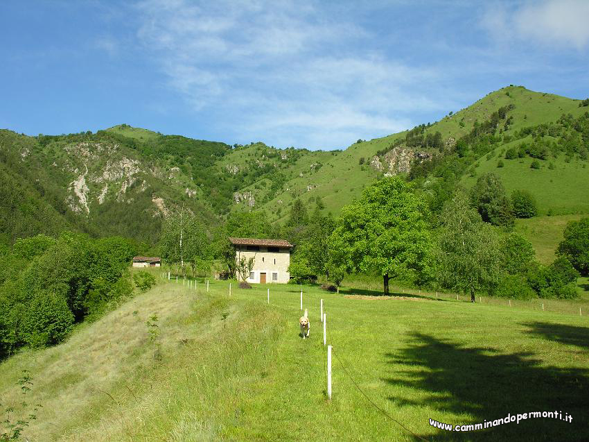 06.JPG