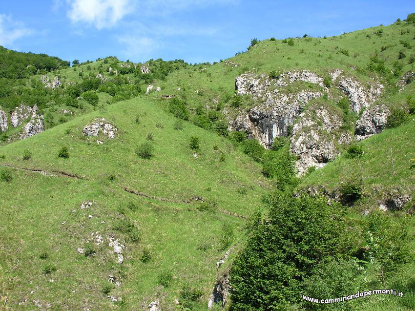 09.JPG