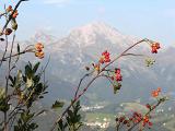 51 Pizzo Arera