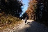 09 12916 Percorriamo il tratto di strada che porta al Pian della Palla