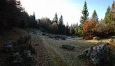 09 12985 Panoramica