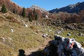 09 13054 Sullo sfondo Monte Alben la Croce