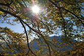 09 12592 Monte Alben