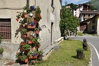 066 Una Montagna di Fiori a Oltre il Colle