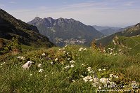 026 Sentiero dei fiori