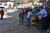 063 Fiera Zootecnica di Serina 2019
