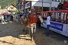 115 Fiera Zootecnica di Serina 2019