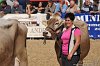 253 Fiera Zootecnica di Serina 2019