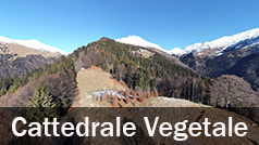 Panoramica 360