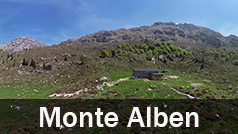 Panoramica 360