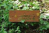 09 04486 Forcella del Sorriso