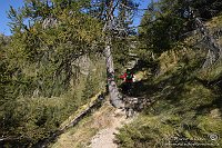 004 Sentiero 108 - Rifugio Benigni