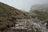 036 Col dei Brassamonti