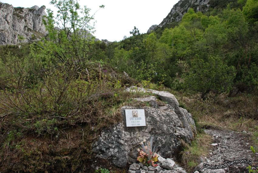 06.JPG