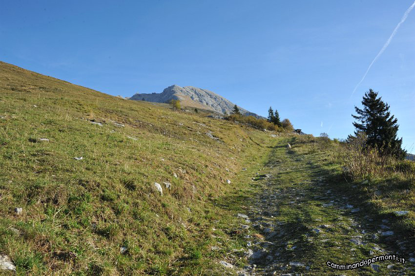 04.JPG