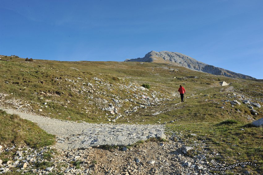 06.JPG