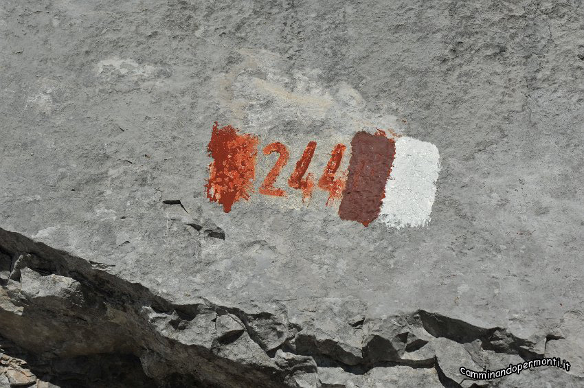78.JPG