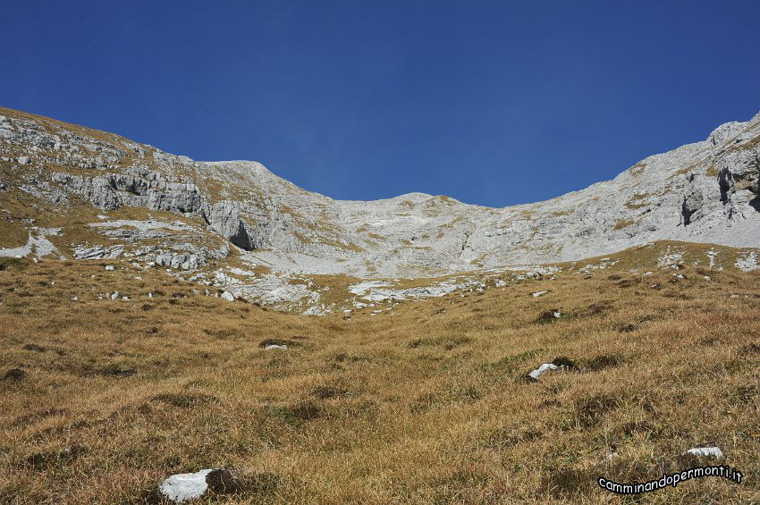 85.JPG