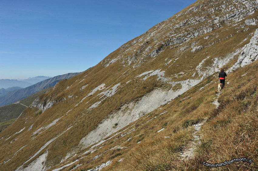 89.JPG