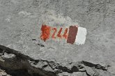 78