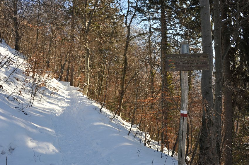 08.JPG