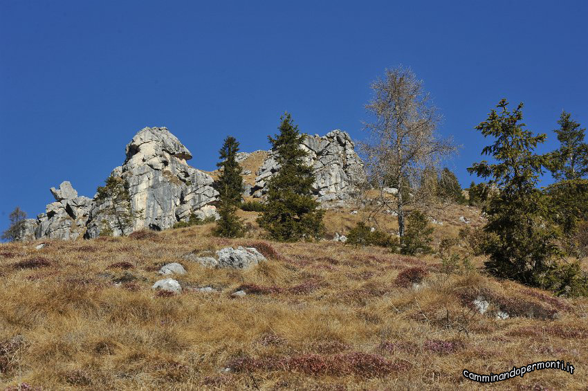 01447.JPG