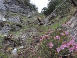 17 Ferrata MAURIZIO Anticima est Monte Alben