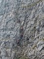 28 Ferrata MAURIZIO Anticima est Monte Alben