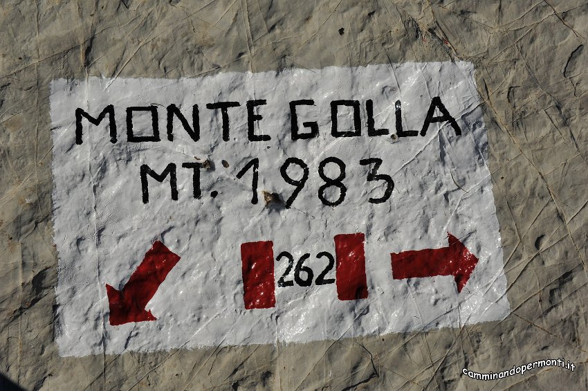 103.JPG