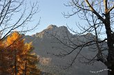 002 Monte Alben
