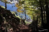 043 Val Vedra