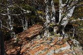 068 Val Vedra