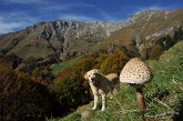 070  Val Vedra - Cima Menna