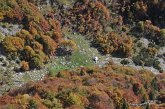 107 Colori d Autunno