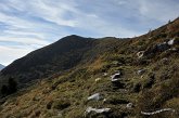 124 Sullo sfondo il Monte Vetro