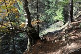 178 Val Vedra