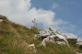 108 Periplo e vetta Monte Alben la Croce