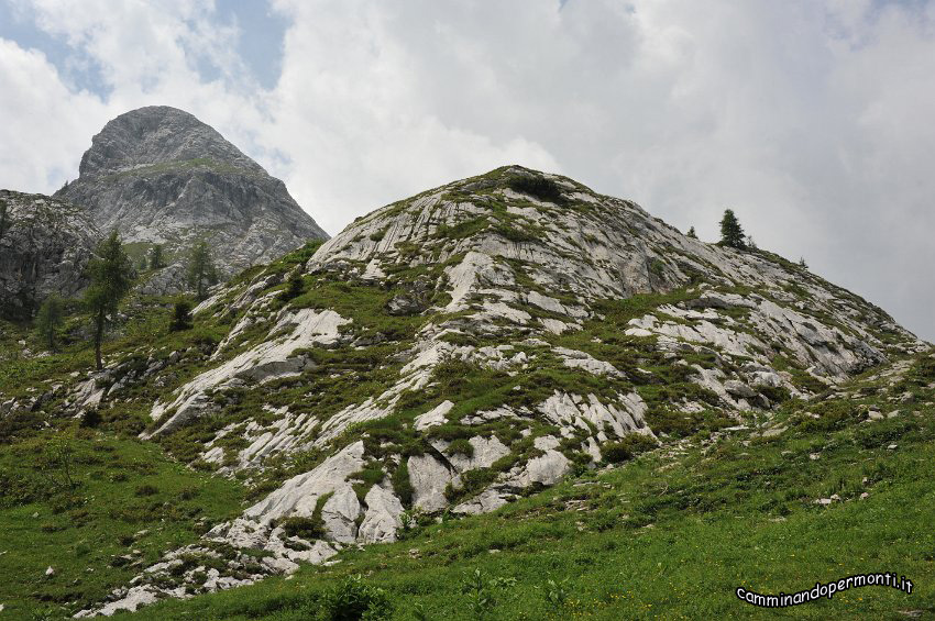 114.JPG