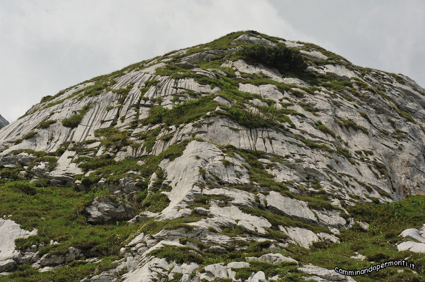 115.JPG