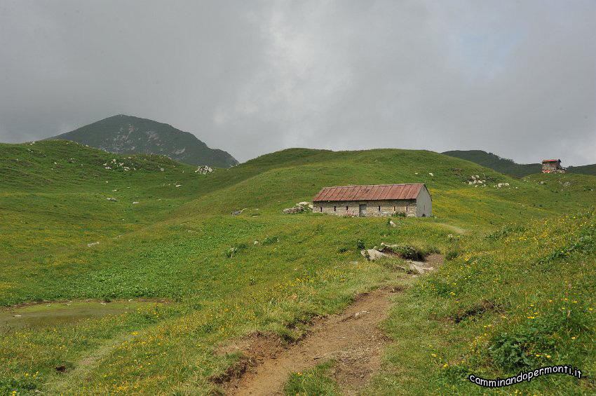 118.JPG