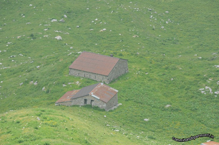 146.JPG