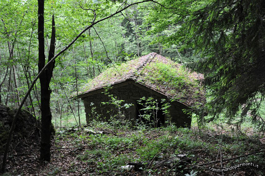 105.JPG
